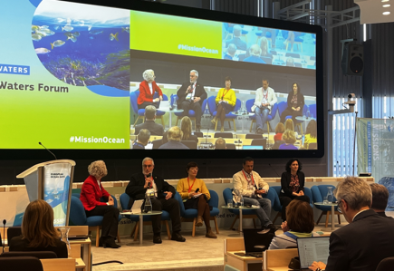 EU Mission Charter and EU Missions