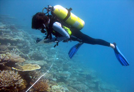 Coral Project - Maldives