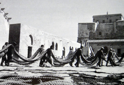 Traditional tuna project